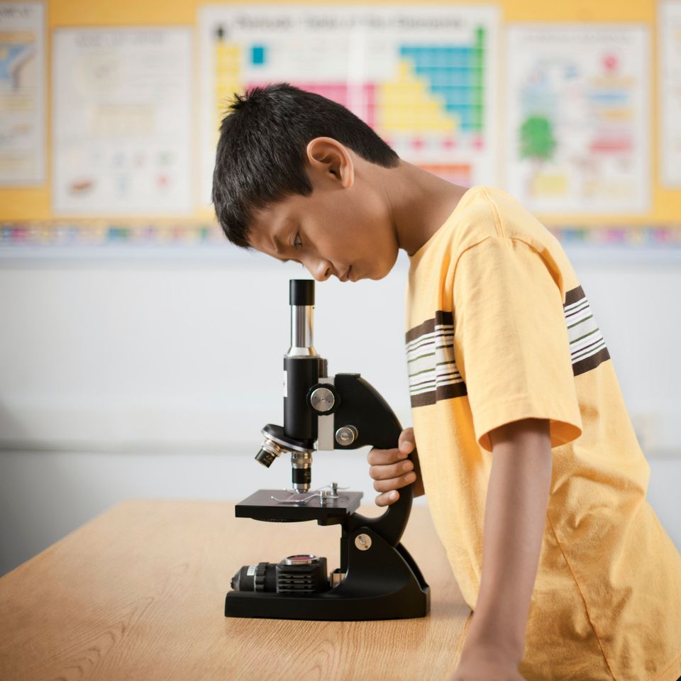 A boy using a microscope in a science lesson 