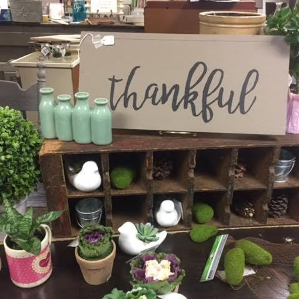 Thankful20170323 19575 ousjhd