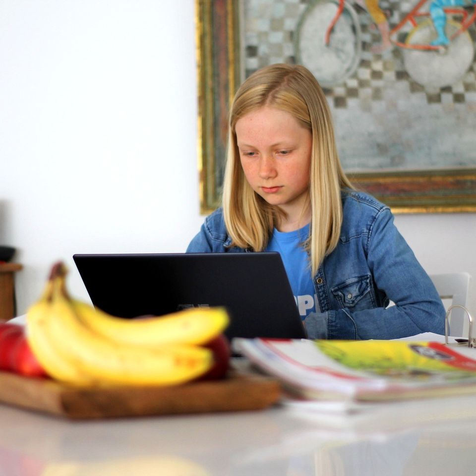 Homeschooling g7df8cfc43 1920