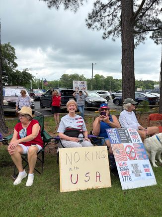Protest 3