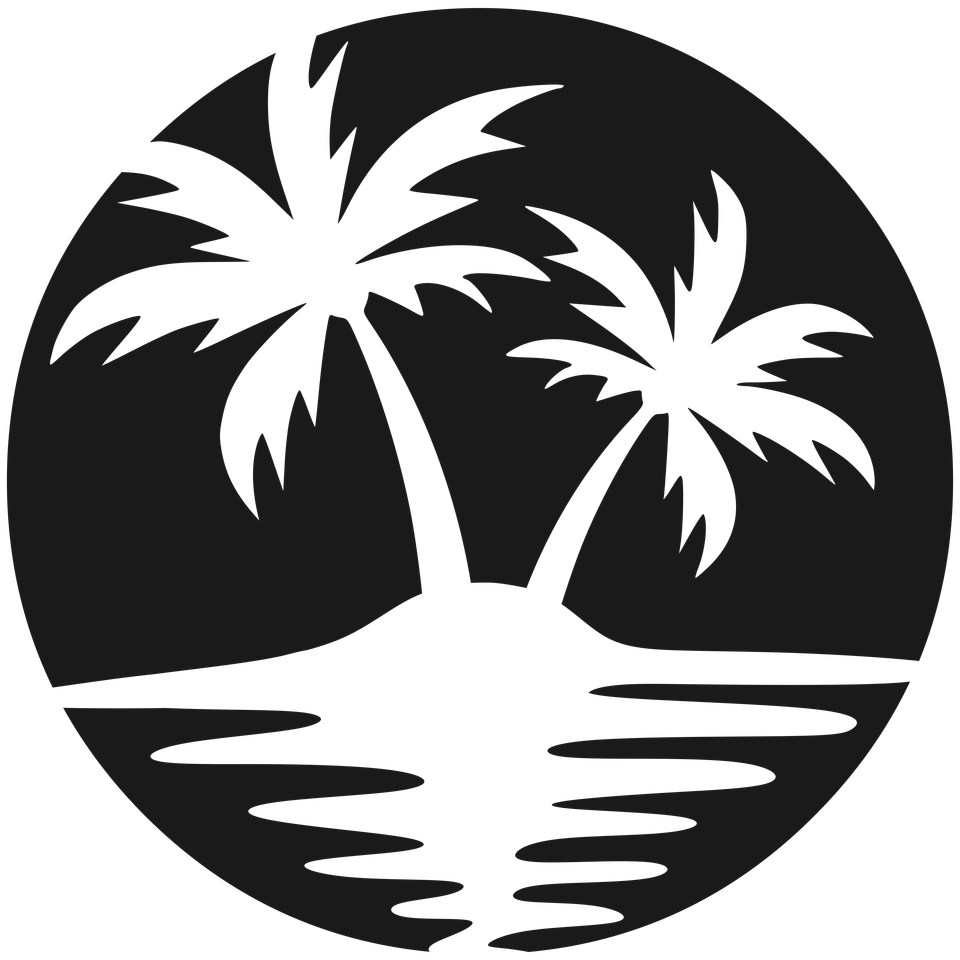 Beach   beach scene palm trees