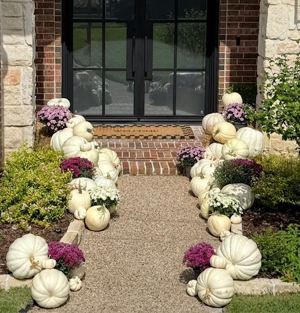 White pumpkins purple mums2