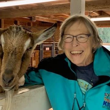 Lavenderatstillewatersheila