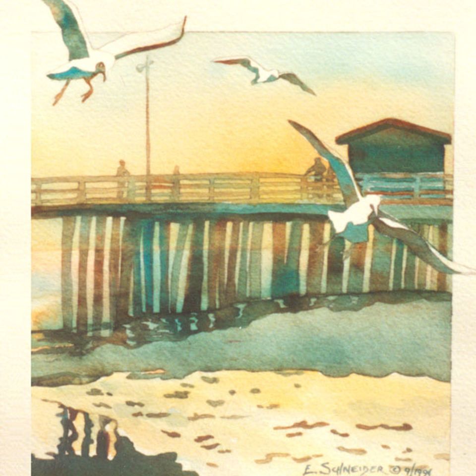 Pismo gulls