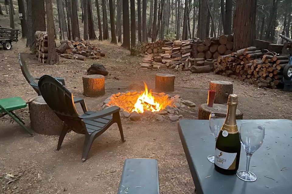 Unplug for nature dogs and kids family dog cabin private 5 acres northern california