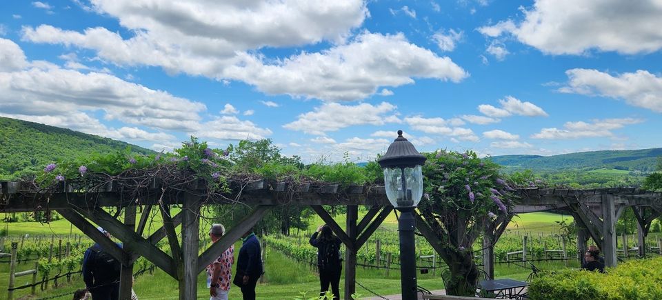 Visitors strolling through a scenic vineyard landscape