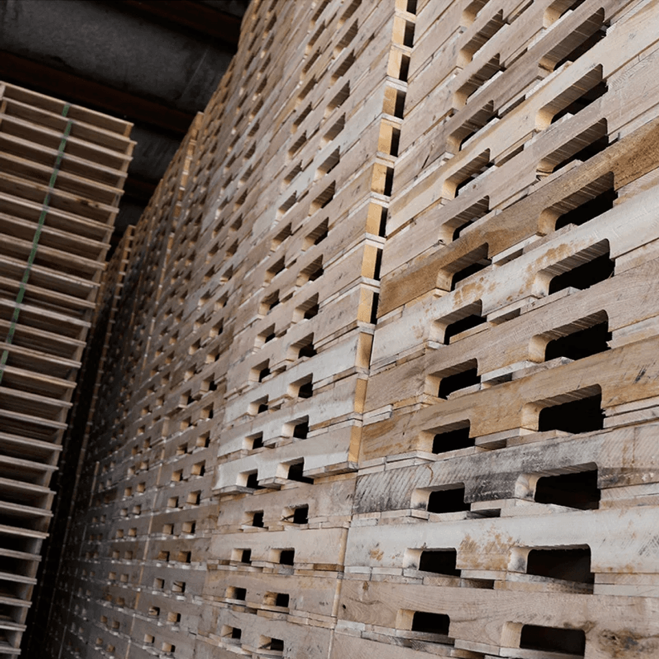 Screenshot 2026 01 22 at 7.23.10 pm