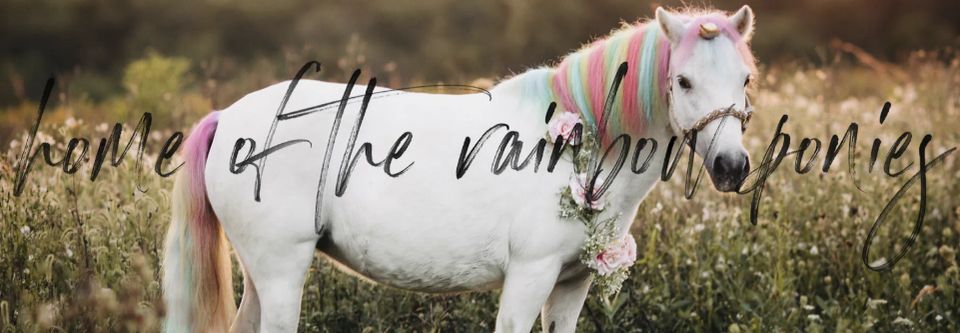 Copy of barnes yard rainbow pony