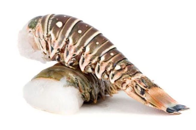 Rock lobster tail 1