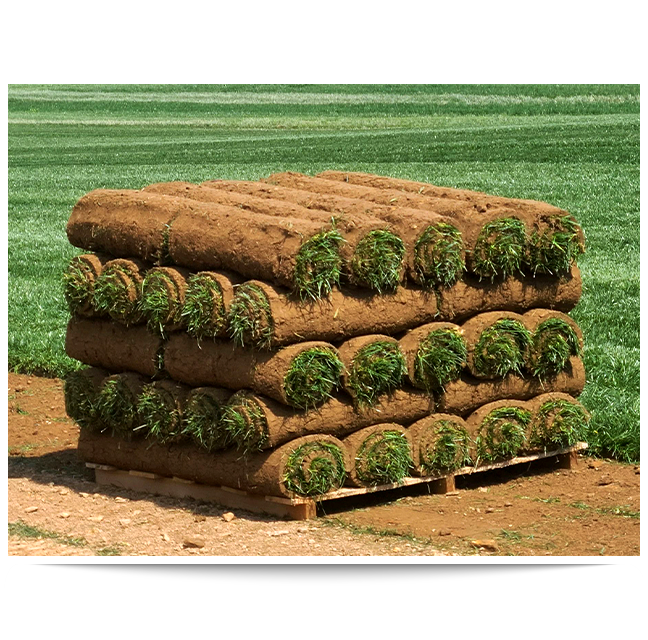 Sod delivery