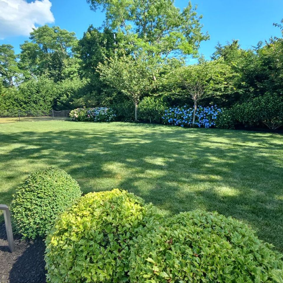 Green terrain9