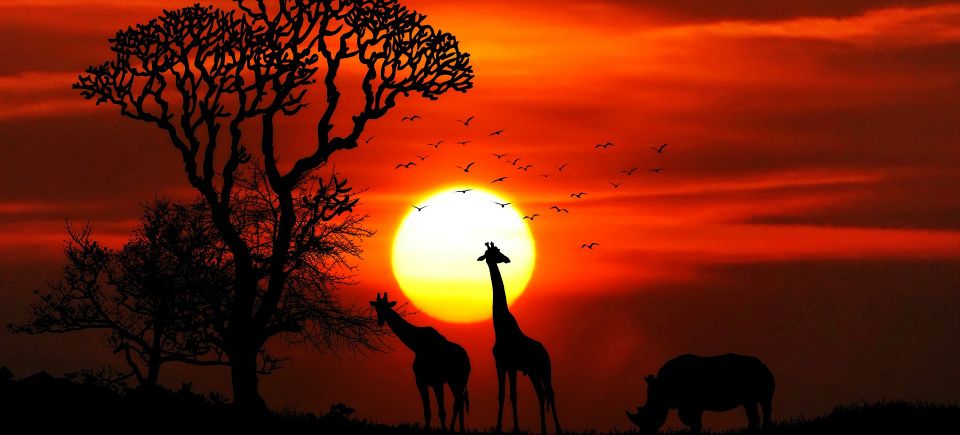 Africa gf68634d50 1920