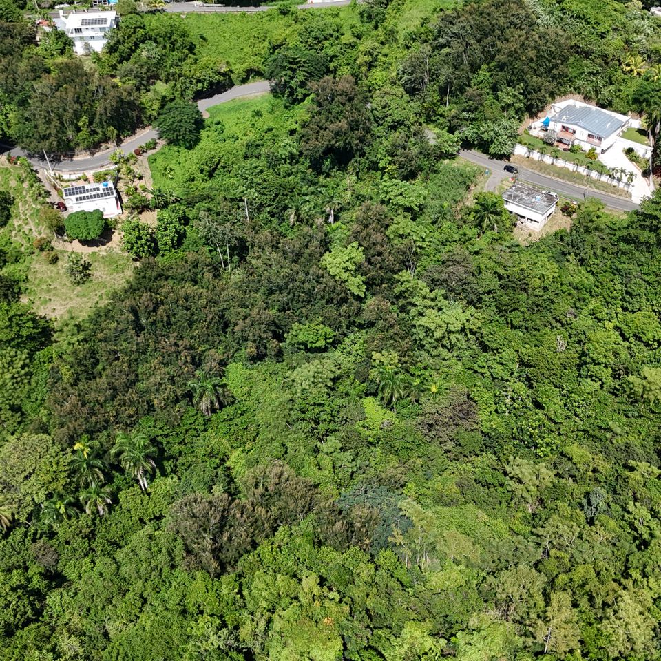 Dji 20251017133528 0895 d 2