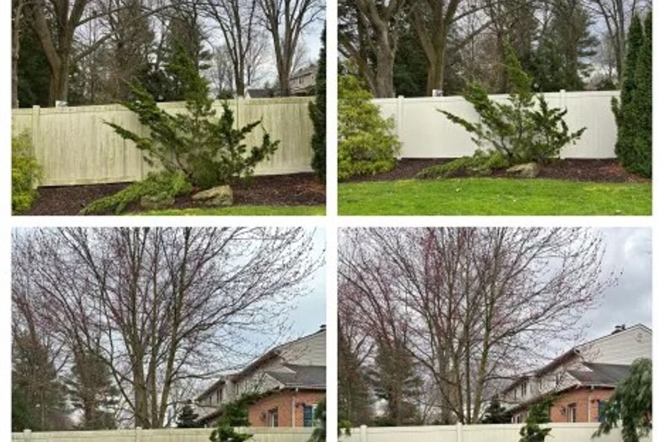 433536883 392270753559302 2696410112590187004 n