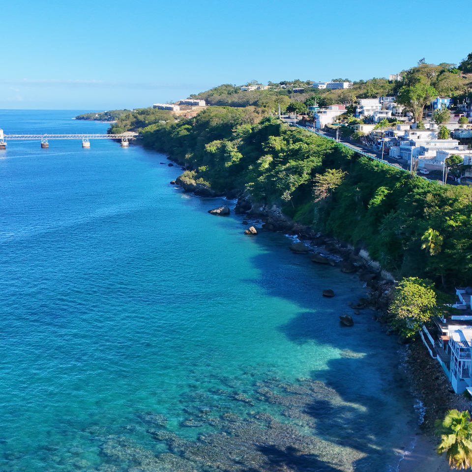 Screenshot 2026 02 03 at 10.57.51 am