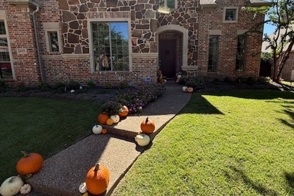 Pumpkin pic   missy house