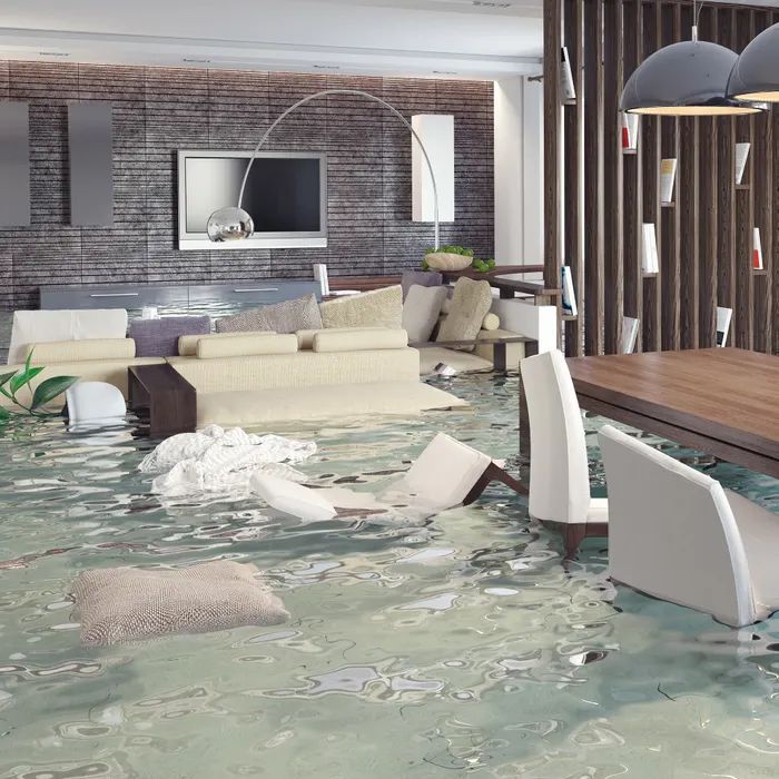 Flood restoration original