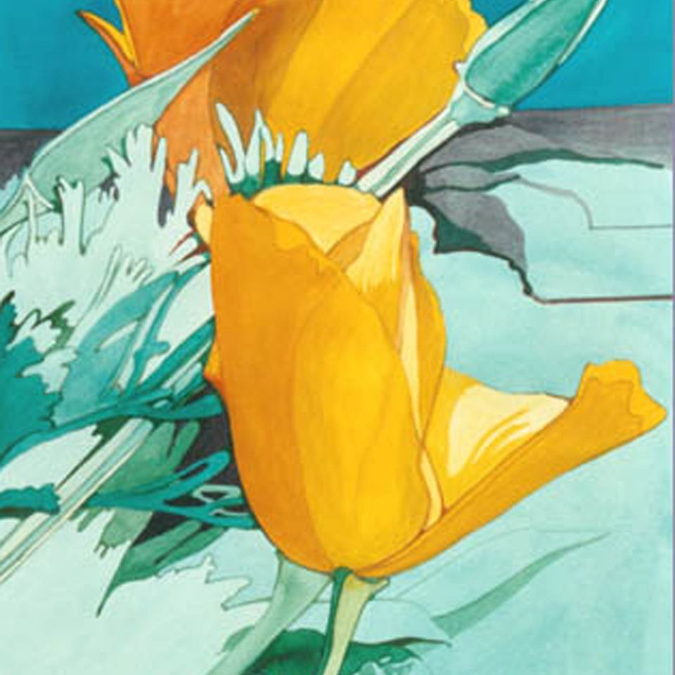 California poppies lg