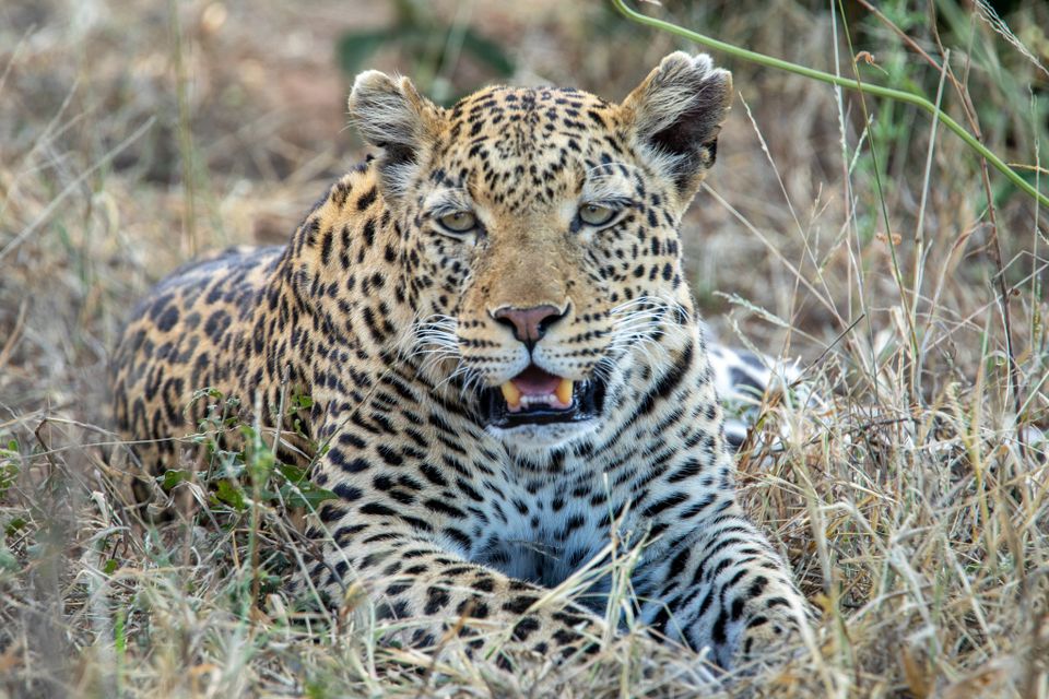 484918747 1035744738578420 6894414298462584008 n