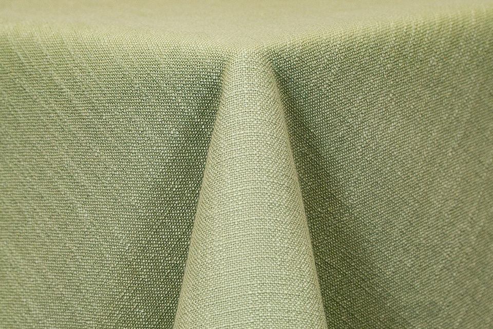 Panama   celery 873