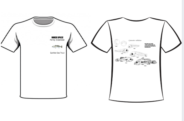 Screenshot 2025 10 27 090242