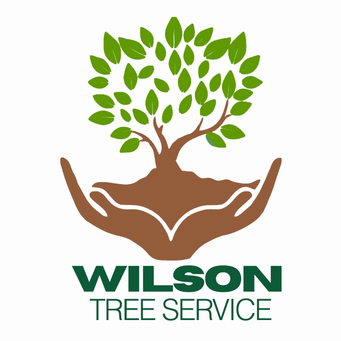 Wilson Tree Service