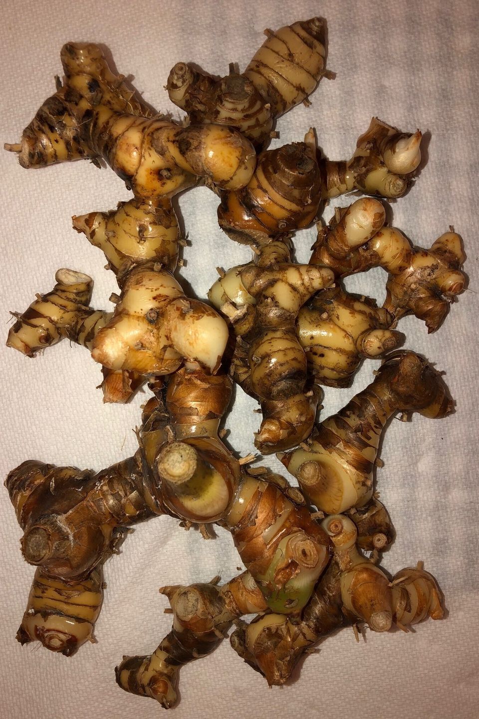 Thai ginger