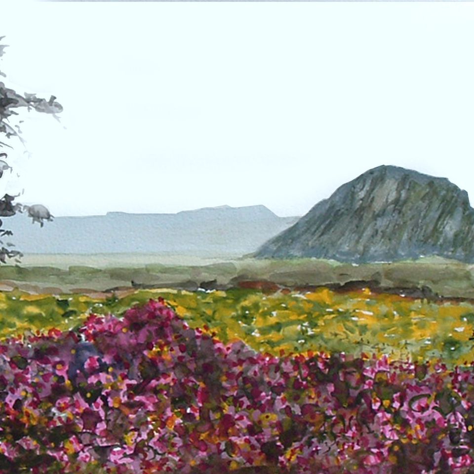 Morro rock with flowers