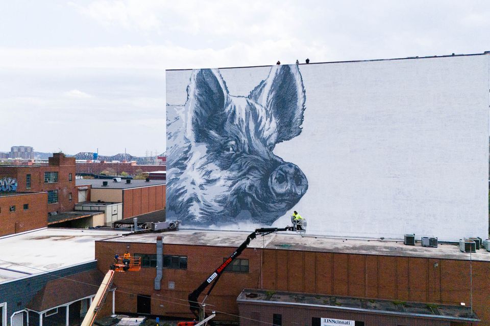 Arrand23mural linncinnati pig mural low res 1