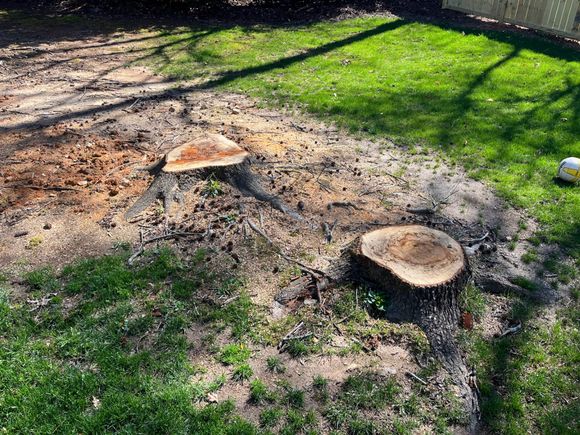 D7d7e0ee f28a 46c2 a244 e20bfff54687