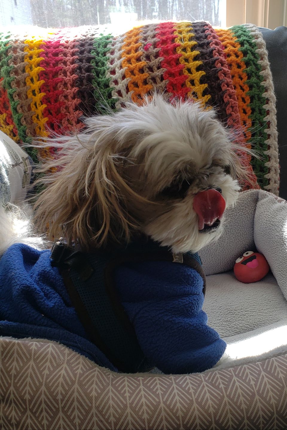 Gizmo