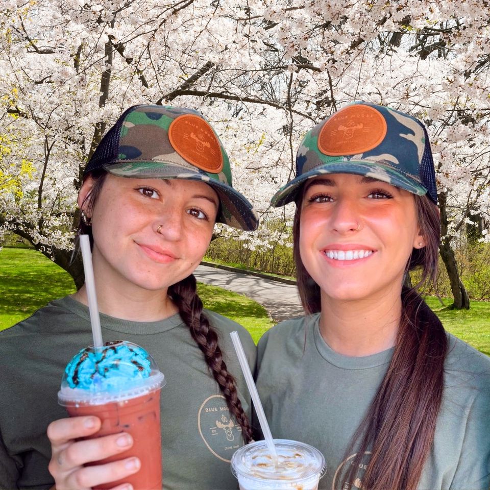 Blue moose coffee lodge   website