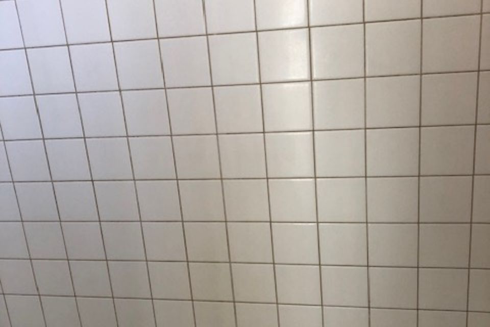 Img 9368