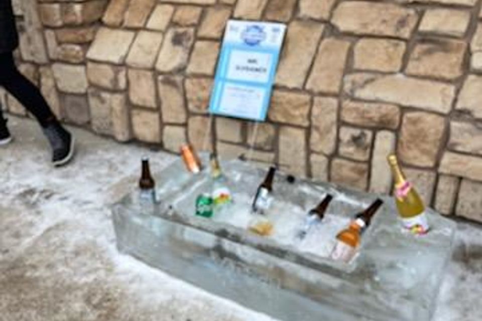 Ice carving 2026 29