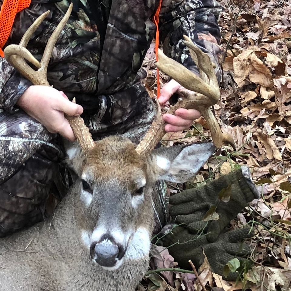 Barber.10pt
