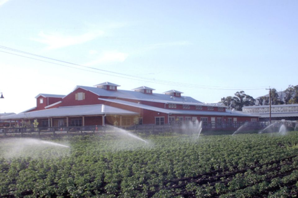 Agriculture steel buildings