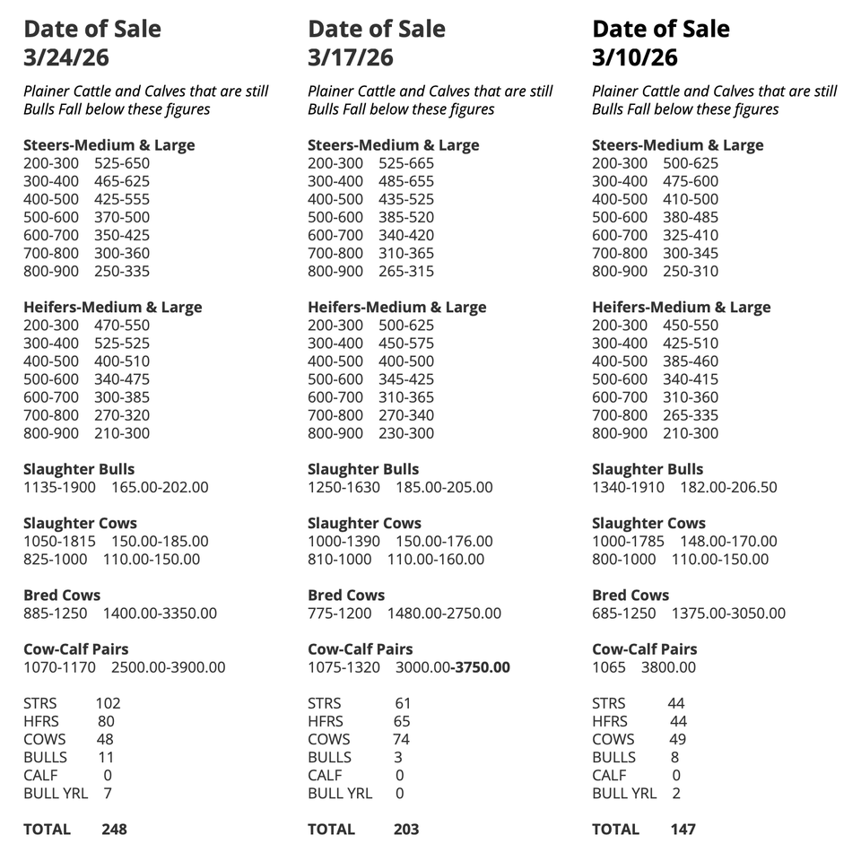 Screenshot 2026 04 08 at 8.56.21 am