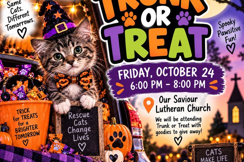 Trunk or treat 2026
