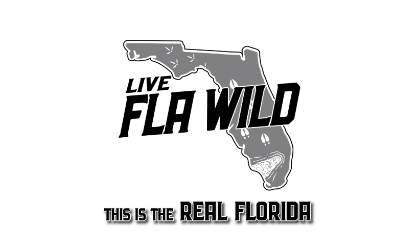 Florida Wild