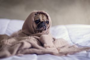 Depression therapy boise