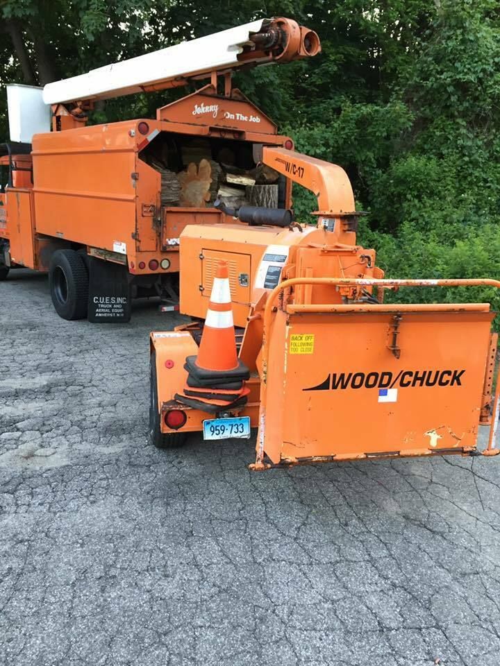 14907119 1168620823218721 8686411317370650129 n