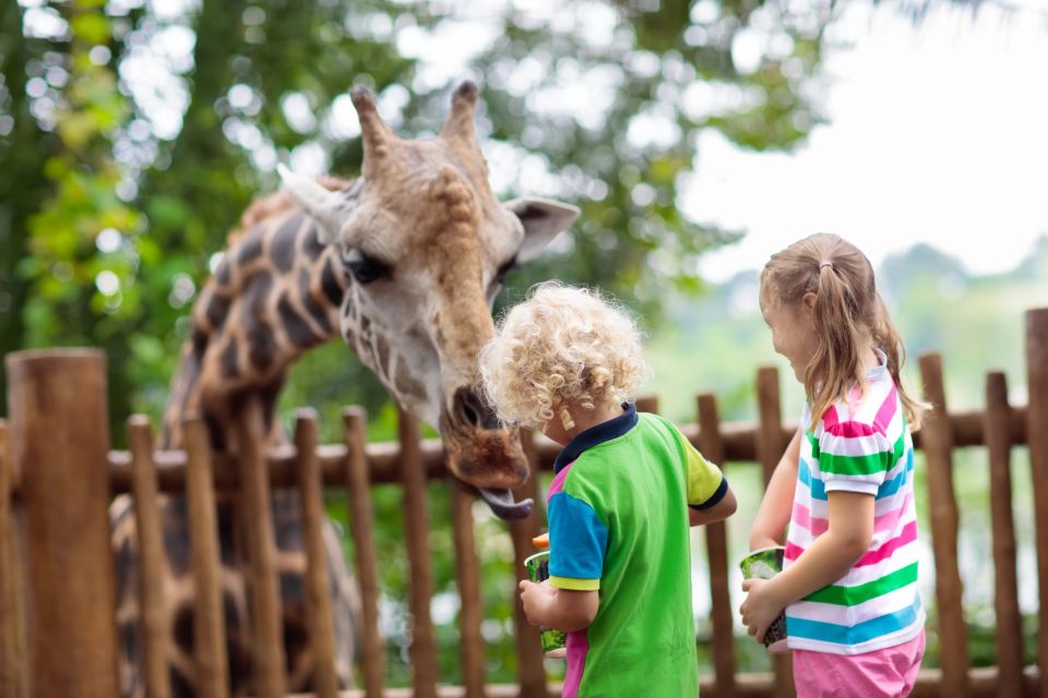 Family feeding giraffe in zoo
