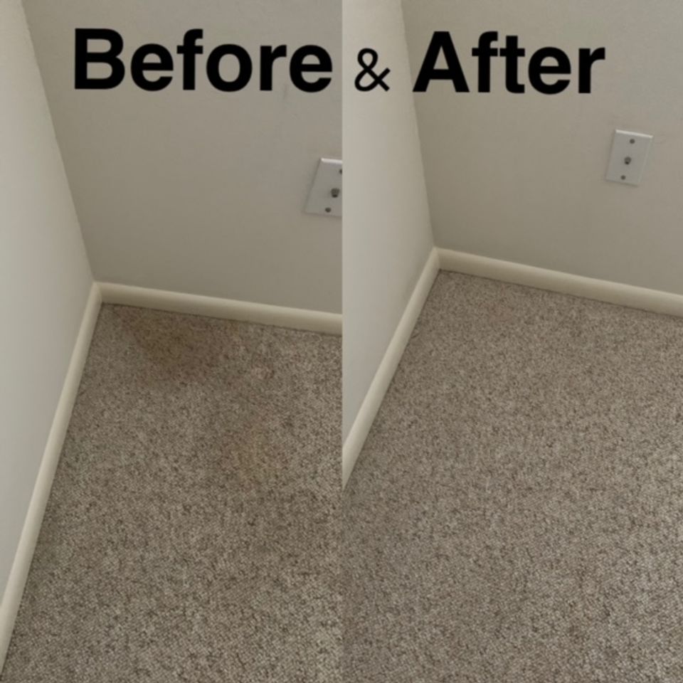 Carpet b and a