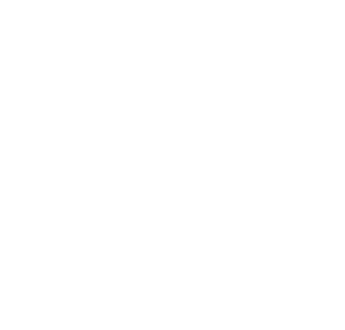 Custom Website - Header Homepage
