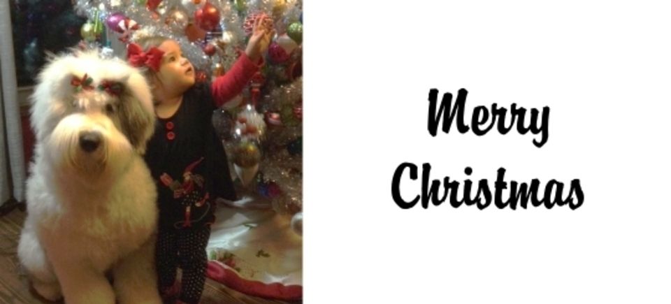 Celebrations   christmas20150621 16882 1sl9tua