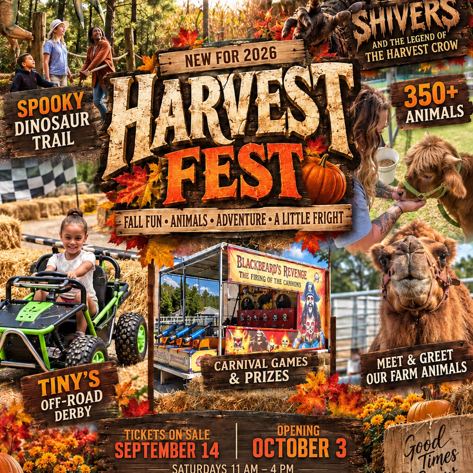 01 harvest fest hero portrait
