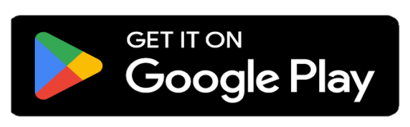 Google store