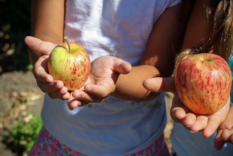 Apple 57e5d2414c 1920