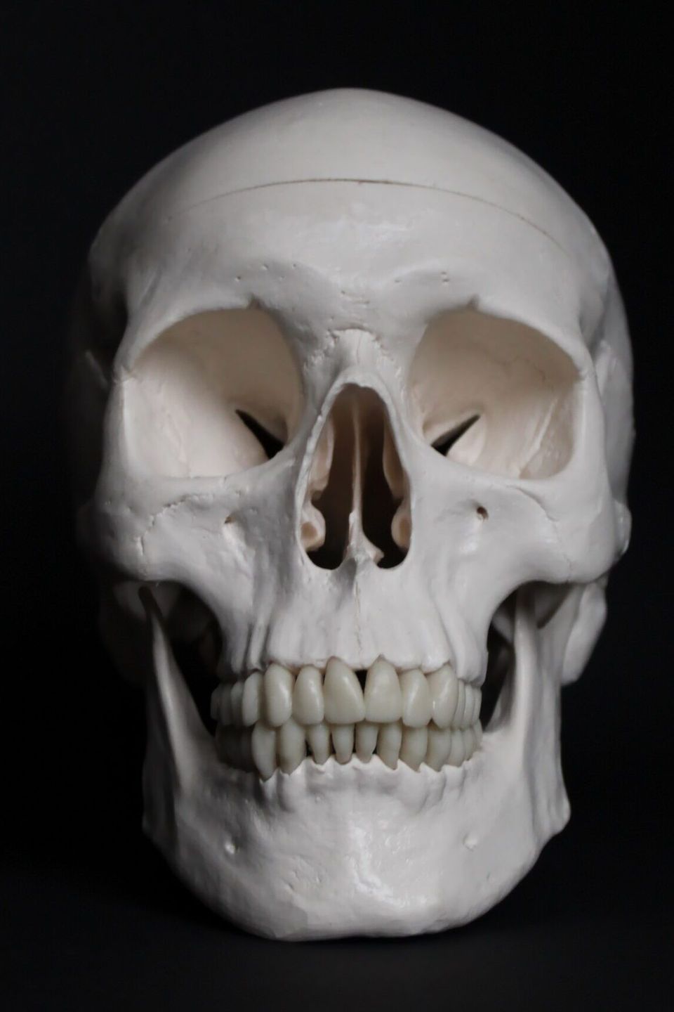 Cropped anne nygard wkcwxluv3im unsplash scaled 1