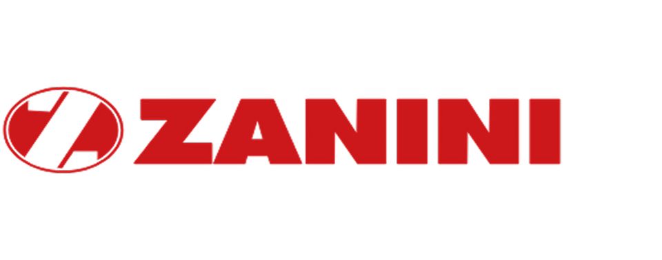 Zanini